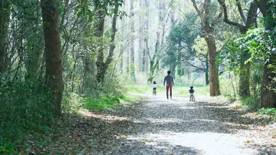 A man with two children on bicycles going along a forest track.